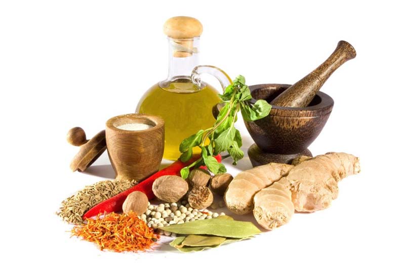 سوغات شهرکرد چیست گز بلداجی شهرکرد,گیاهان دارویی شهرکرد