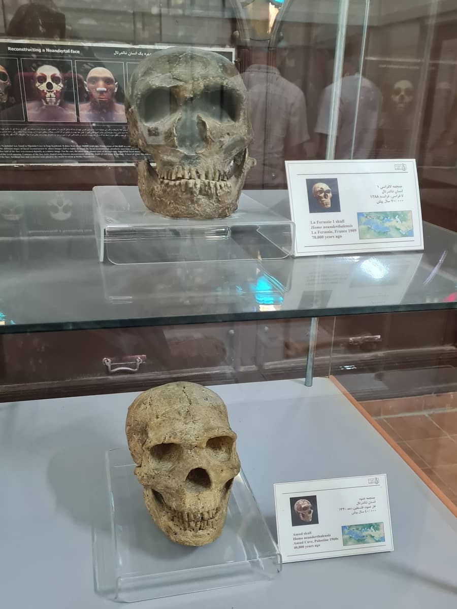 باغ عمارت بیگلربیگی,بیگلربیگی کرمانشاه,تاریخچه تکیه بیگلربیگی