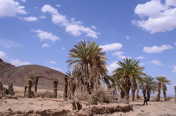 بیابان های ایران,پیمایش های بیابانی و سافاری خودرو,جاذبه های دیدنی بیرجند