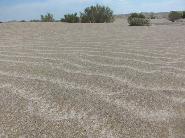 بیابان های ایران,پیمایش های بیابانی و سافاری خودرو,جاذبه های دیدنی بیرجند