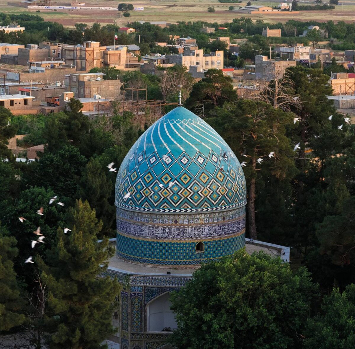گنبد فیروزه ای میان درختان و زمین های کشاورزی نیشابور