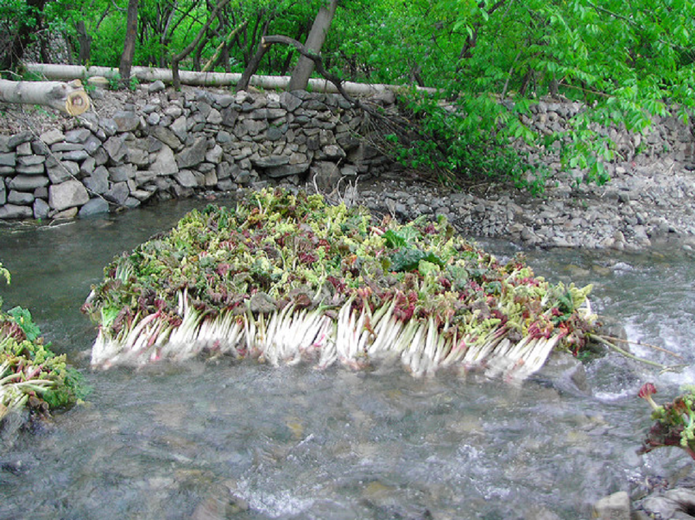 آدرس روستای گرینه خراسان رضوی,روستای تاریخی گرینه,روستای گرینه خراسان رضوی