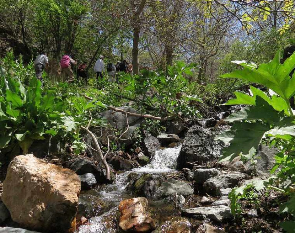 آدرس روستای گرینه خراسان رضوی,روستای تاریخی گرینه,روستای گرینه خراسان رضوی