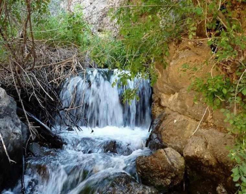 روستای گرینه کجاست,روستای گرینه مشهد,روستای گرینه نیشابور