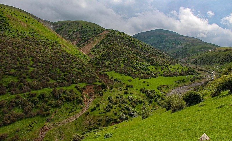 جنگل دیزمار طبیعتی بکر در دل آذربایجان شرقی جنگل دیزمار,جنگل دیزمار کلیبر,جنگل گردی در دیزمار