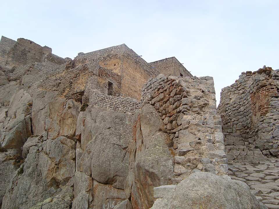 جنگل دیزمار طبیعتی بکر در دل آذربایجان شرقی جنگل دیزمار,جنگل دیزمار کلیبر,جنگل گردی در دیزمار