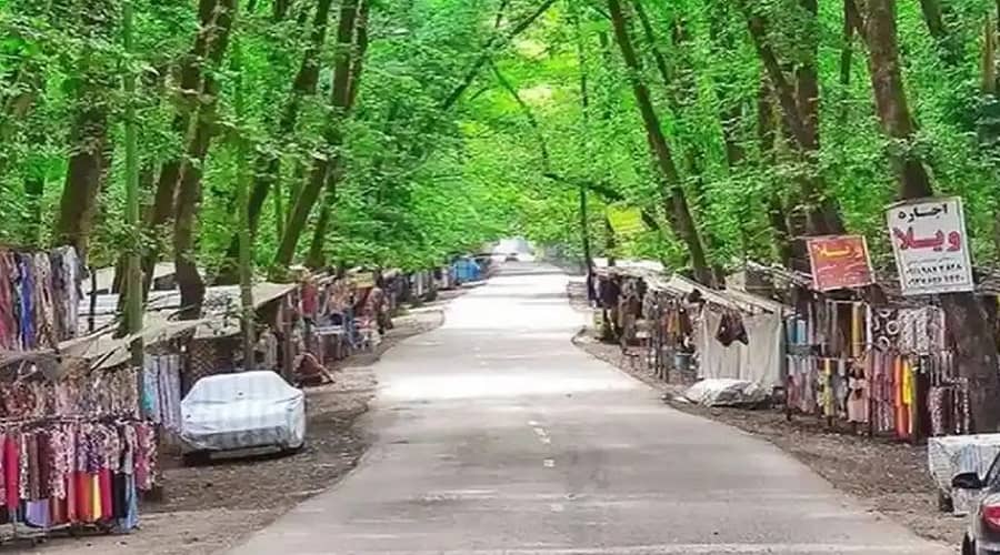 ساحل گیسوم تالش معرفی کامل و تصاویر جنگل و ساحل گیسوم,ساحل گیسوم,ساحل گیسوم تالش