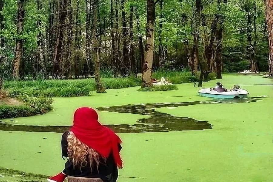 پارک جنگلی سراوان,تالاب سراوان,دریاچه سراوان