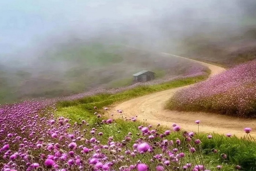 ییلاق سلانسر کجاست؟ راهنمای سفر به بهشتی در دل ابرها سلانسر گیلان,سلانسر گیلان کجاست؟,منطقه سلانسر گیلان
