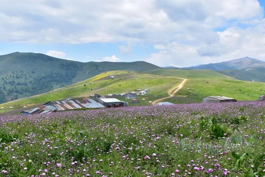 ییلاق سلانسر کجاست؟ راهنمای سفر به بهشتی در دل ابرها ارتفاعات سلانسر گیلان,روستای سلانسر گیلان,سلانسر اقامتگاه