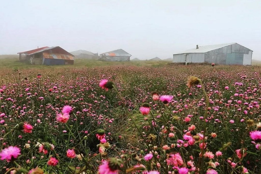 ییلاق سلانسر کجاست؟ راهنمای سفر به بهشتی در دل ابرها ارتفاعات سلانسر گیلان,روستای سلانسر گیلان,سلانسر اقامتگاه