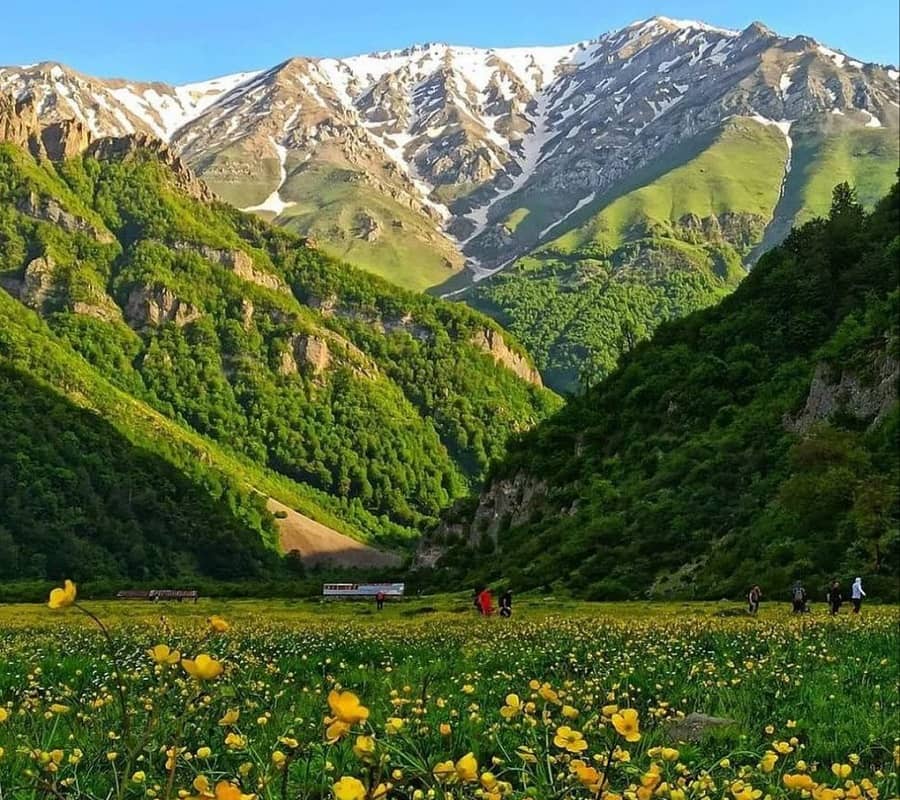 راهنمای سفر به دشت دریاسر؛ مسیر دسترسی و جاذبه ها آدرس دشت دریاسر,جاذبه های اطراف دریاسر,دشت دریاسر