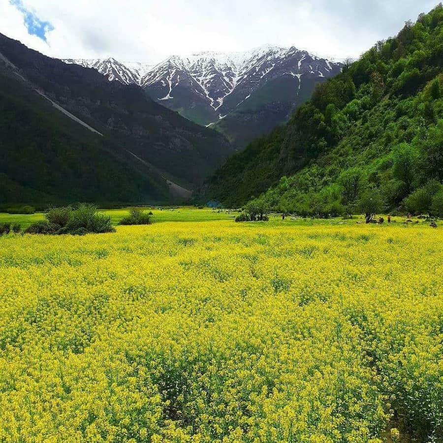 راهنمای سفر به دشت دریاسر؛ مسیر دسترسی و جاذبه ها آدرس دشت دریاسر,جاذبه های اطراف دریاسر,دشت دریاسر