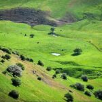 بازار تالش,تالش,تالش کجاست