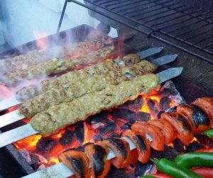کباب کوبیده,کباب کوبیده با سویا نی نی سایت,کباب کوبیده برای گربه ضرر دارد